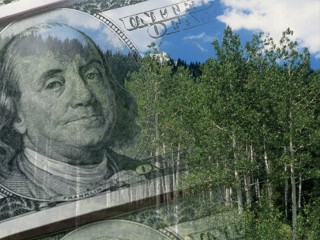 green costs