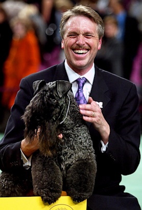 A Decade of Best in Show Winners