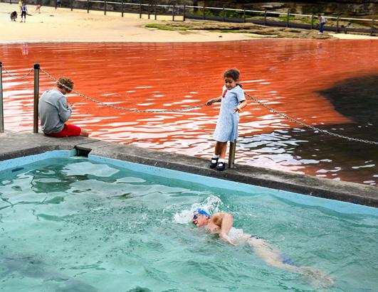 Red Tide Closes Australian Beach 