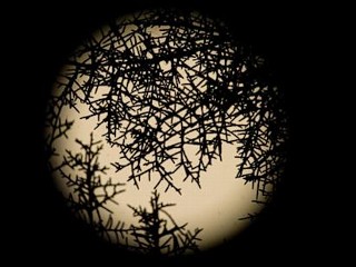 Photos: 'Blue Moon' Seen Around the World