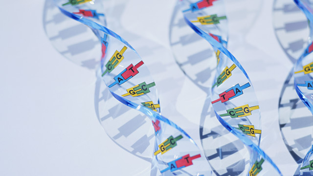 PHOTO: DNA