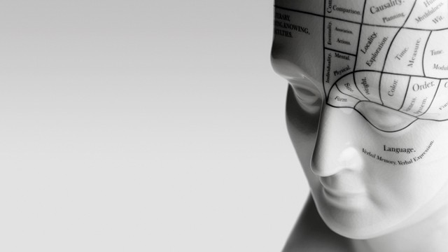 PHOTO: Phrenology head