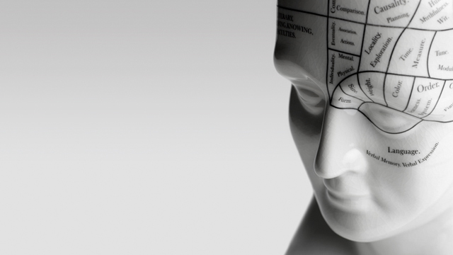 PHOTO: Phrenology head
