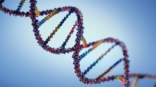PHOTO: Scientists at two of the world's leading research institutions, Harvard and the University of California, Berkeley, achieved what Berkeley is calling a