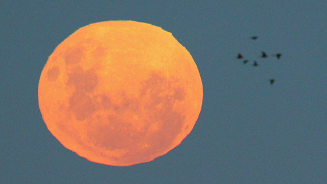 PHOTO: A full moon is seen rising over the Pacific Ocean, May 6, 2012 in Sydney. The full moon known as a "Super Moon" occurs annually when the moon is at its fullest and its closest distance to earth in its orbit.
