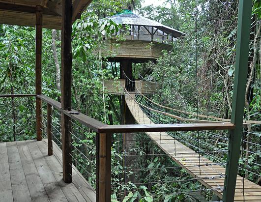 Treehouse