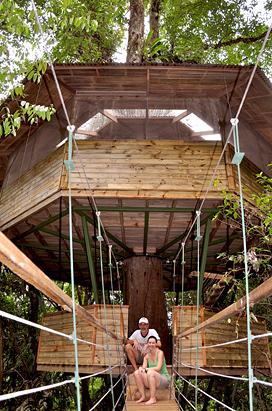 Treehouse