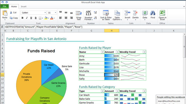 PHOTO: An Excel spreadsheet in Office Web Apps, which lets users review and edit documents within a web browser.