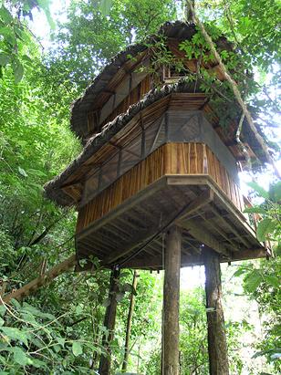 Treehouse