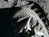 Apollo 11: The Unseen Pictures 