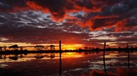 National Geographic Photos of the year