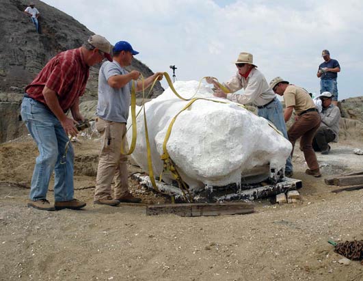 Dinosaur Mummy