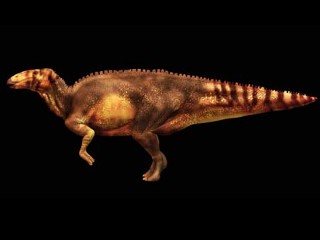 Dinosaur Mummy