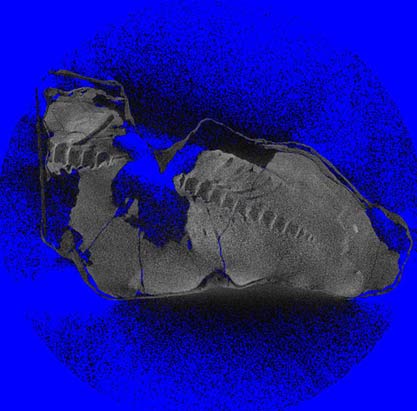 Dinosaur Mummy