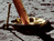 Apollo 11: The Unseen Pictures 