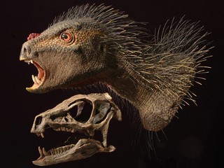 Tiny Dino With Fangs ID'ed 30 Years After Discovery