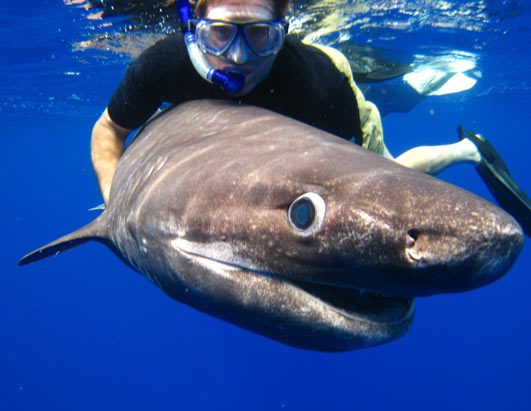Dangerous Encounters