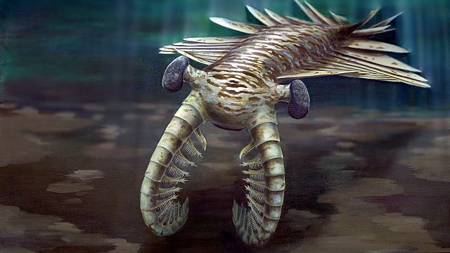 PHOTO: Illustration of super predator Anomalocaris