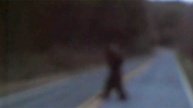 PHOTO Thomas Byers, of Shelby, N.C., posted a five-second video of what he says is the mythical Sasquatch crossing a local road.