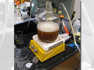 Biobeer