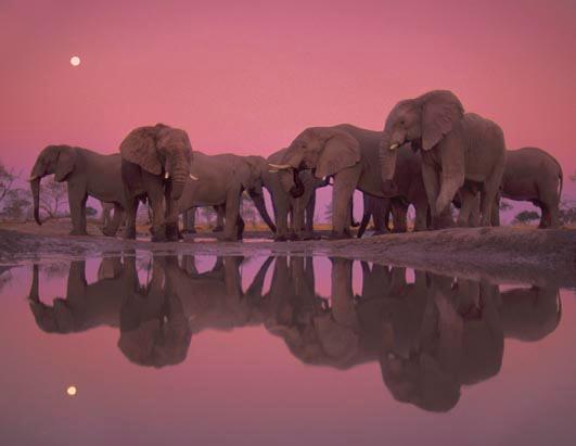 Top Nature Photos of All Time