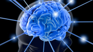 PHOTO Physicists have come up with a model of brain activity that seems to explain the reason behind the magical memory number.