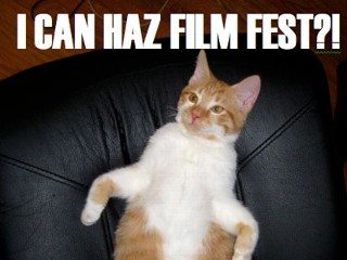 Festival Celebrates Internet Cat Videos
