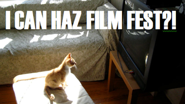 PHOTO: The Walker Art Center in Minneapolis will hold a Internet Cat Video festival on August 30, 2012.