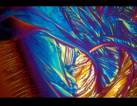 Science Turns Cocktails Into Works of Art