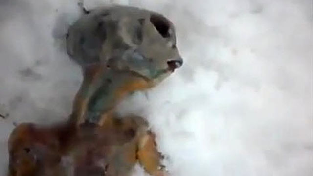 PHOTO: A YouTube video of a so-called "dead alien" found in Russia is quickly becoming an Internet sensation.