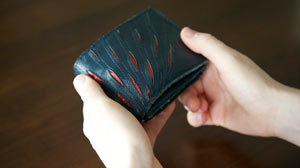 PHOTO Electronic Wallets