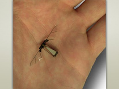 Fly Robot