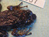 Congo new species