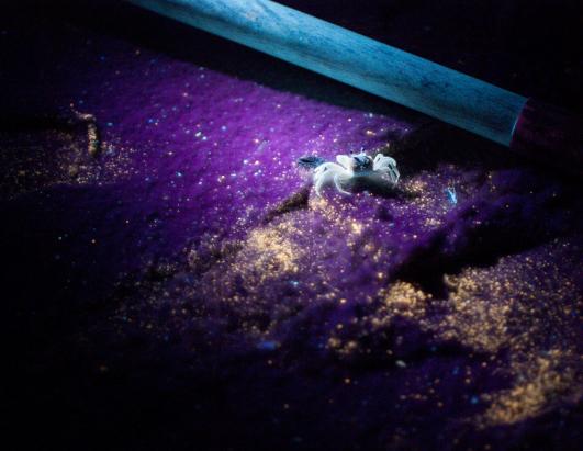 Glowing Oil: Gulf Spill Under Ultraviolet Light