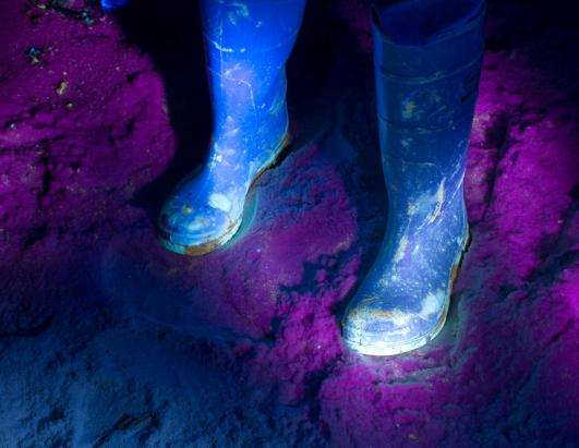 Glowing Oil: Gulf Spill Under Ultraviolet Light