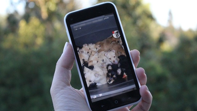 PHOTO: The HTC First is the first phone to run Facebooks Home software.