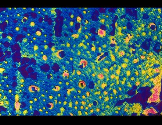 Science Turns Cocktails Into Works of Art