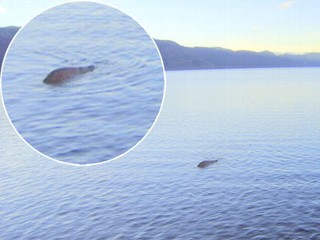 Sailor Claims to Have Best Picture Of Loch Ness Monster