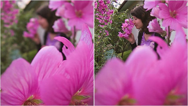 PHOTO: This technology by Lytro allows you to take a picture and then focus the image after the fact.