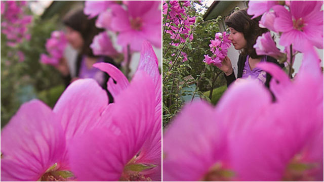PHOTO: This technology by Lytro allows you to take a picture and then focus the image after the fact.