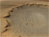 mars rover