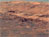 mars rover