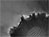 mars rover