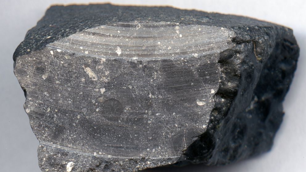 PHOTO: Sawn surface of NWA 7533 showing both light and dark clasts in grey matrix.