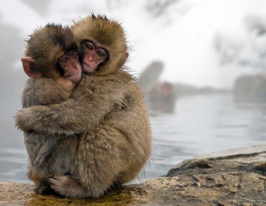 National Geographic Bir Hayat