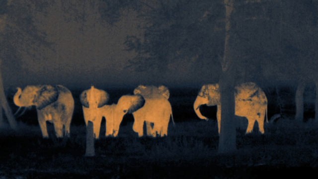 PHOTO: National Geographic filmmaker Martin Dorhn took