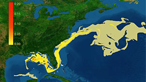 Photo: Computer Model: Where Oil Slick Could Spread: National Center for Atmospheric Research runs simulation.