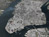 Climate Maps