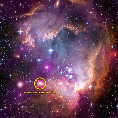 Young stars in Chandra X-Ray Picture