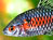 New Mekong Species